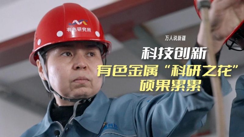 企业搜索定制开发：构建高效信息检索的秘籍
