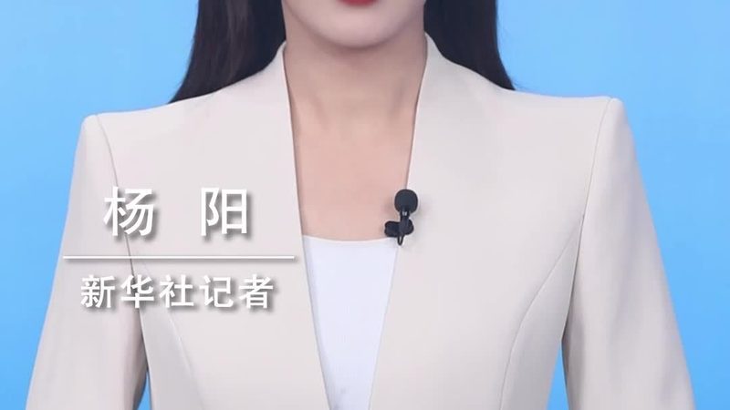数据可视化交互设计平台：构建智能决策的视觉桥梁